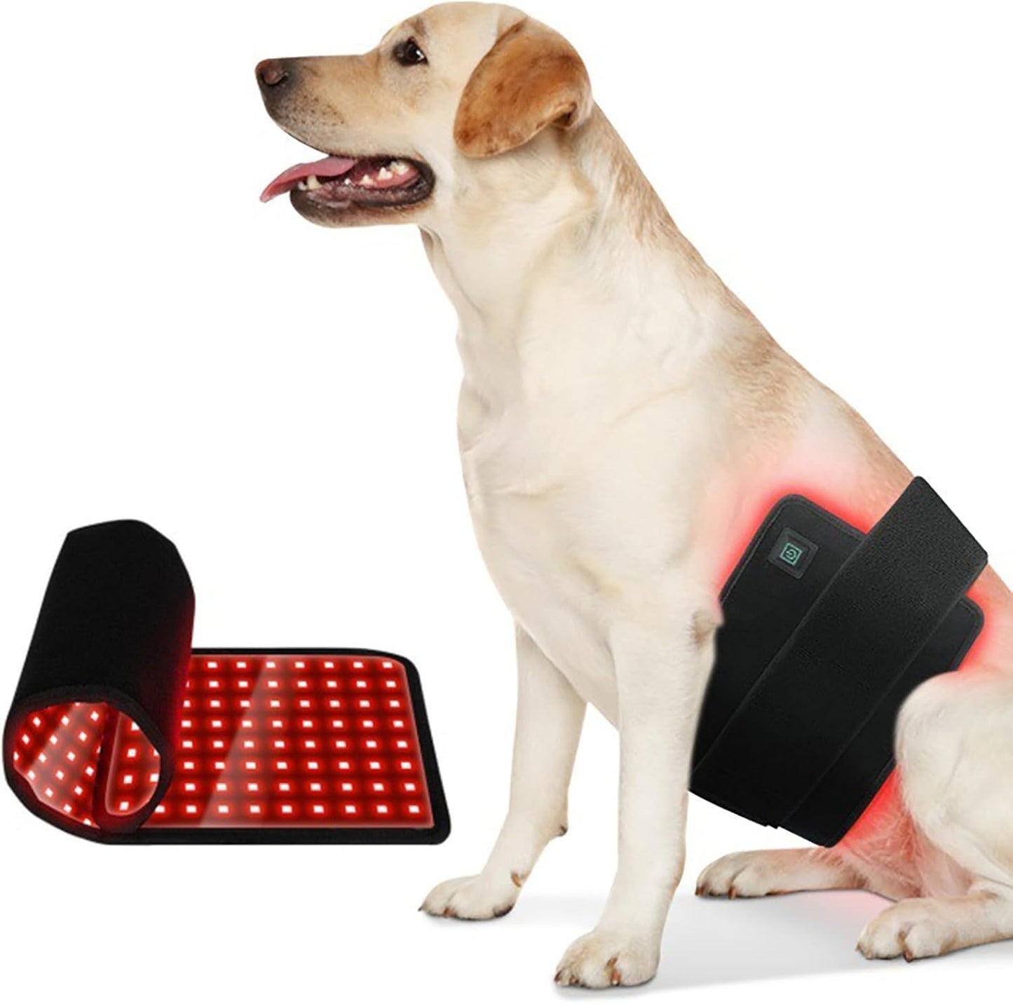 PawX™ Red Light Therapy Belt