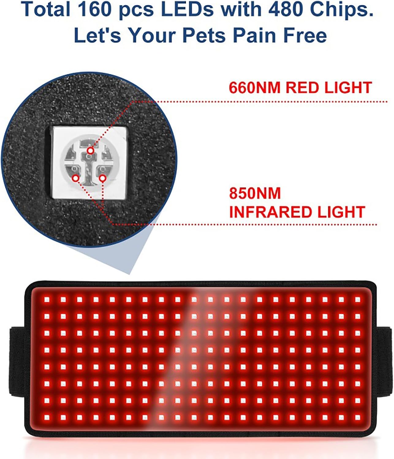 PawX™ Red Light Therapy Belt
