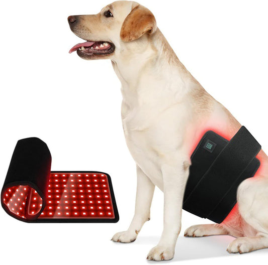 PawX™  Red Light Therapy Belt