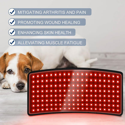 PawX™  Red Light Therapy Belt