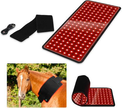 PawX™  Red Light Therapy Belt